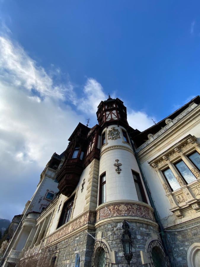 Vila De Argint Aleea Pelesului Nr 2 锡纳亚 外观 照片