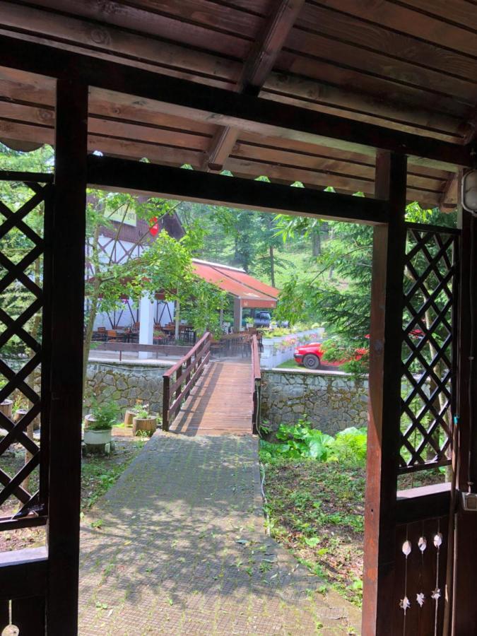 Vila De Argint Aleea Pelesului Nr 2 锡纳亚 外观 照片